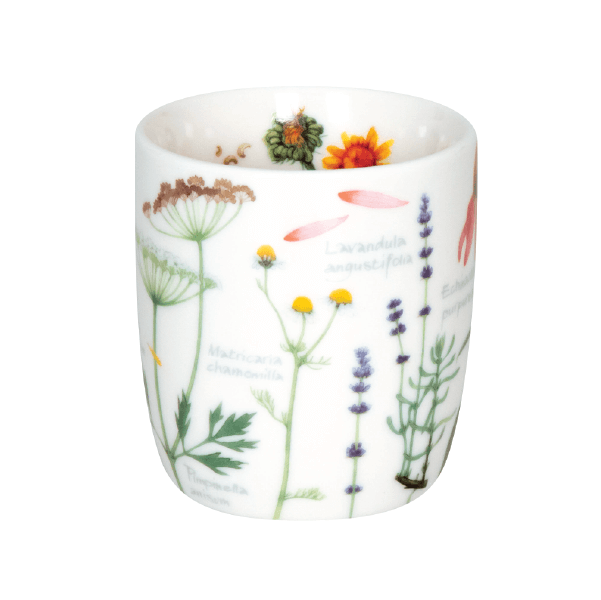 Taza natures Diversity Teaher