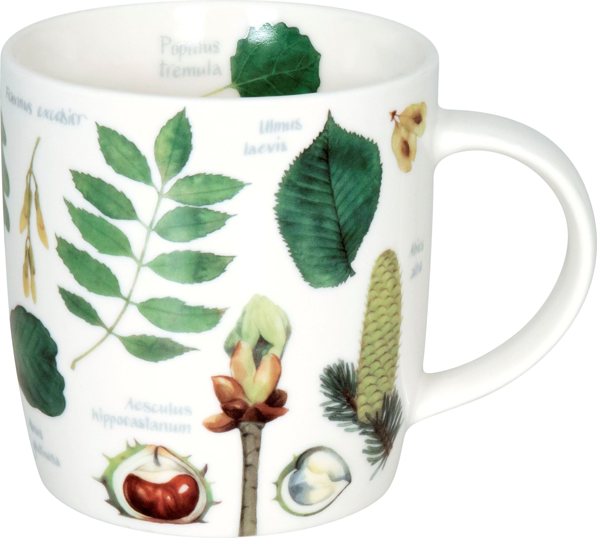 Taza natures trees konitz