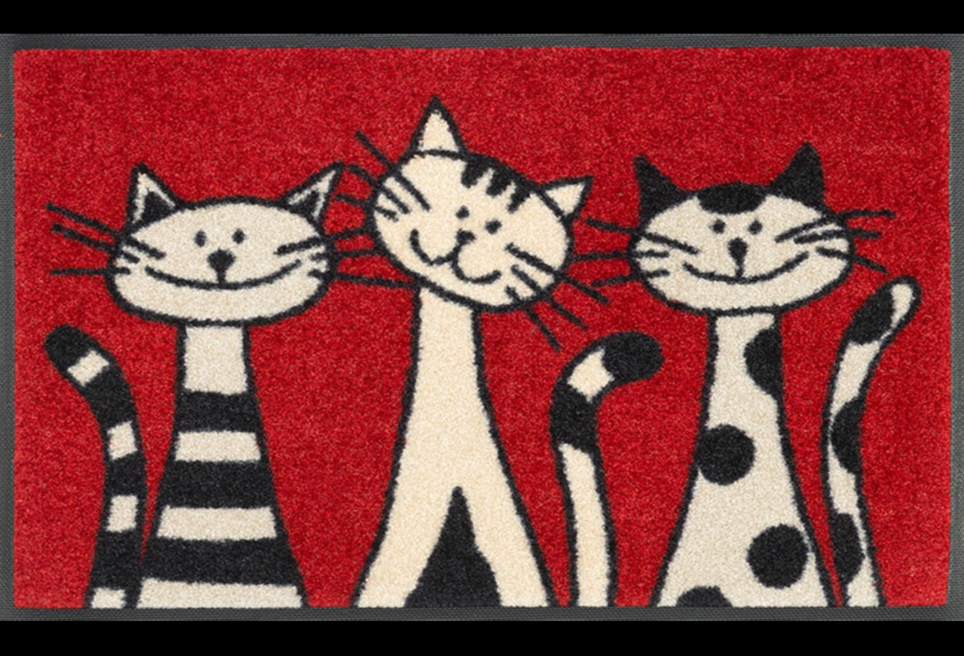 Felpudo antideslizante tres gatos wash dry floor fashion
